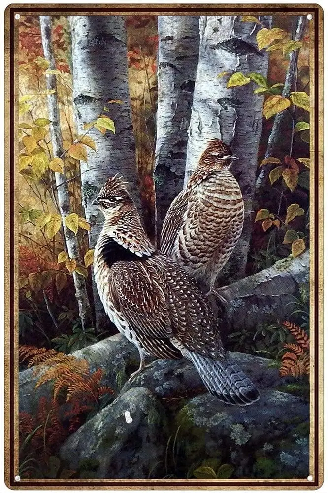 Home Office Bathroom - Vintage Metal Sign Grouse Ruffed Wildlife