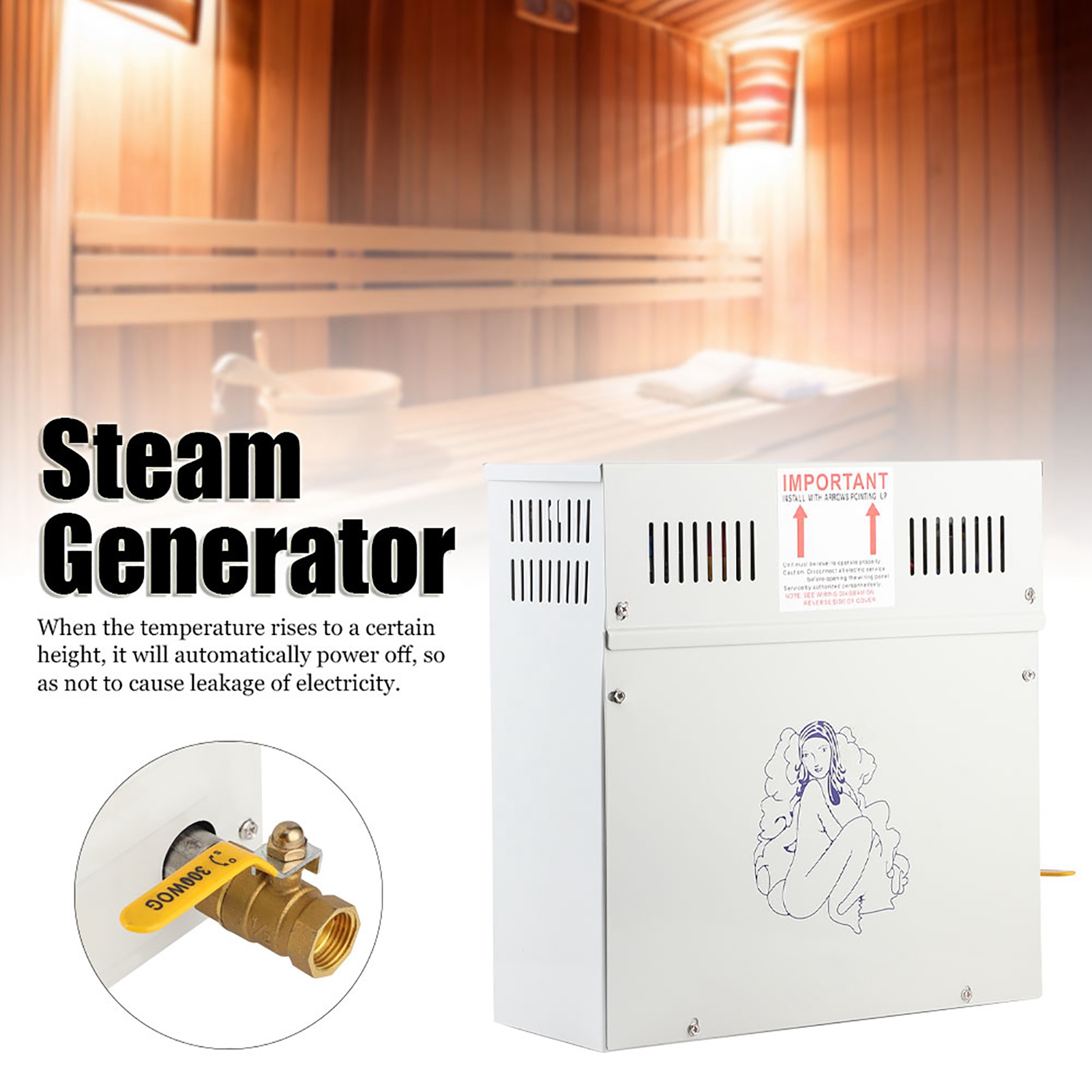4.5KW 220V Steam Generator Sho - Home Bathroom Sauna avis et prix