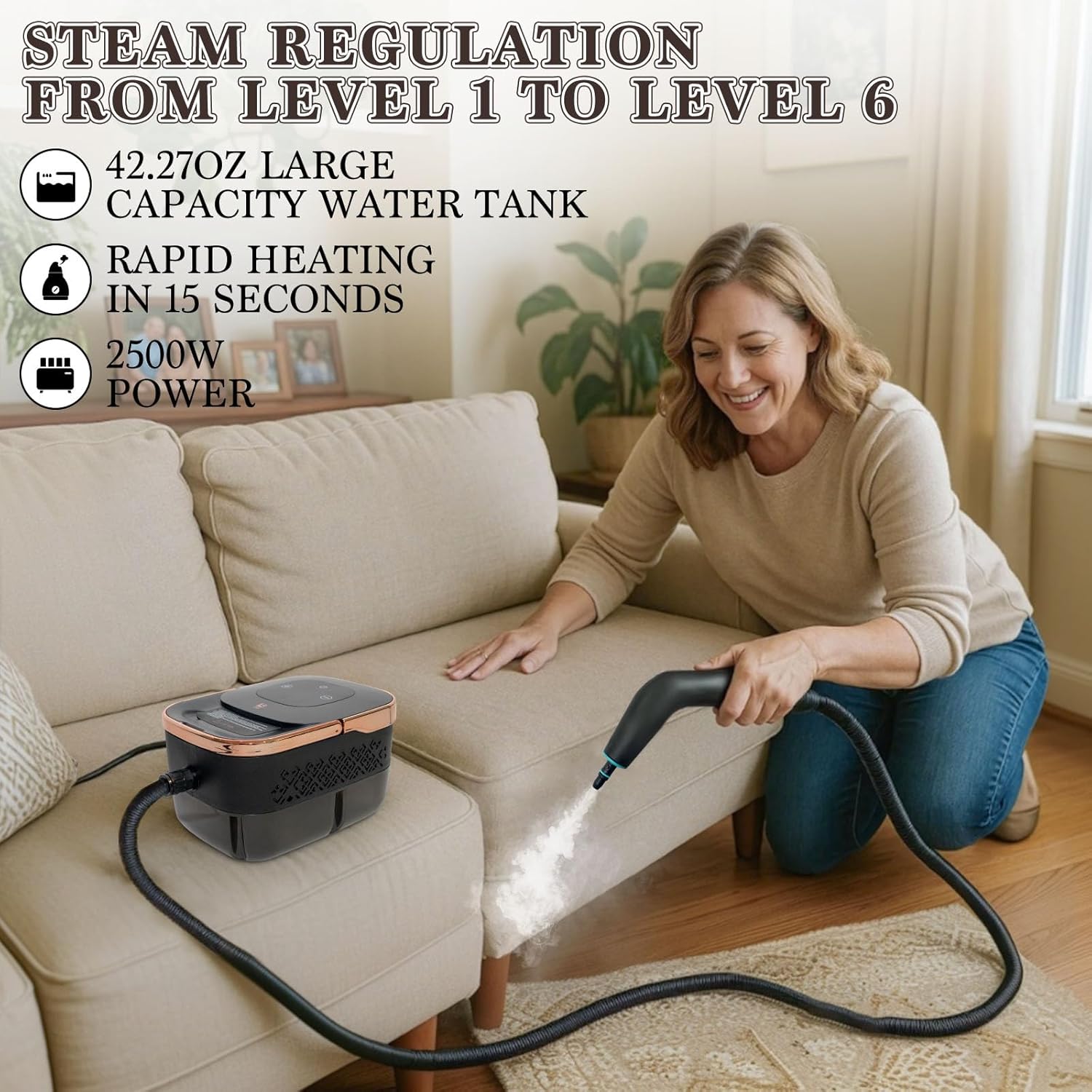 2500W Handheld Steam Cleaner,  - Home Bathroom Cleaner avis et prix